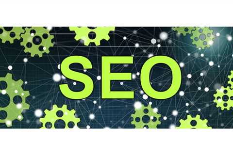 #1 Elite Tampa SEO Expert