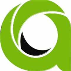 Asia Virtual Solutions